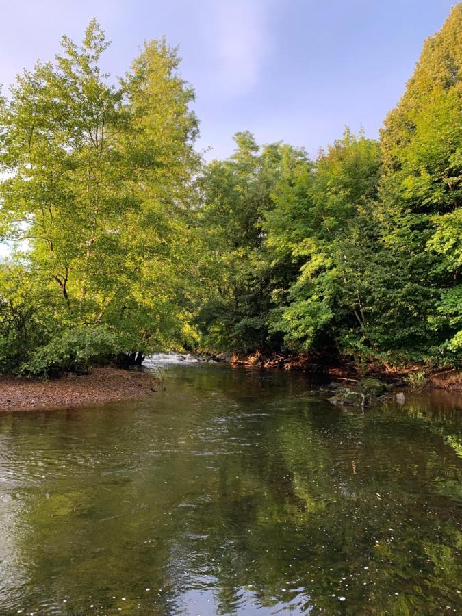 Les Jardins D'Elise, Calme Et Verdure A Lure ลูร์ ภายนอก รูปภาพ